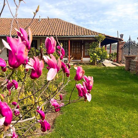 Hotel Boutique Casona Oriente Cauquenes Exterior foto