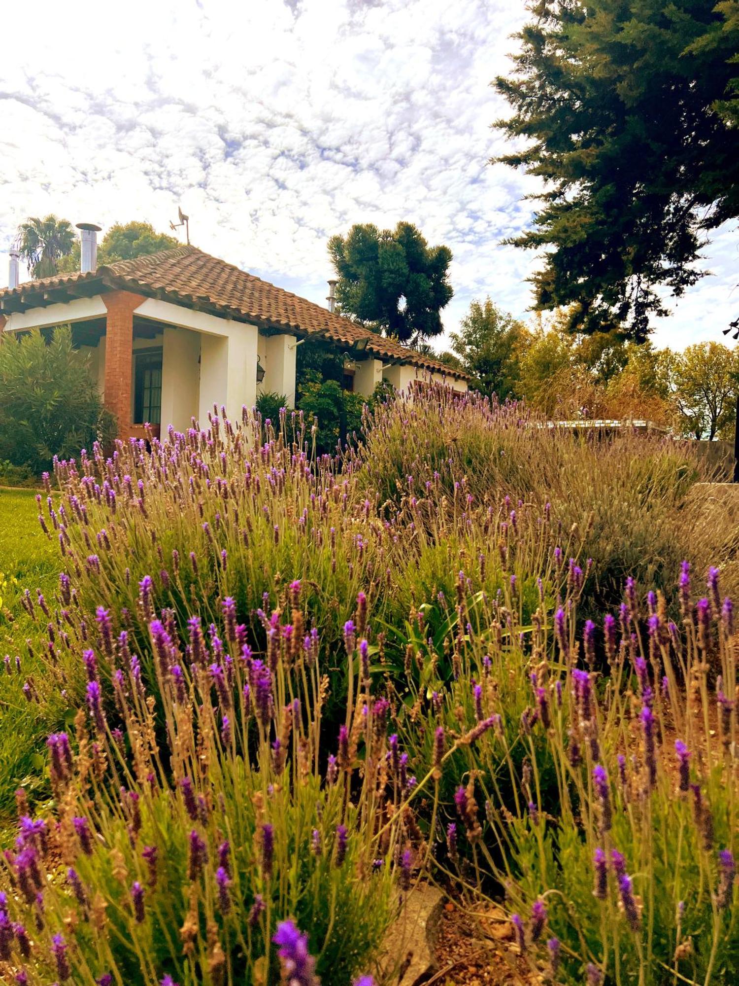 Hotel Boutique Casona Oriente Cauquenes Exterior foto