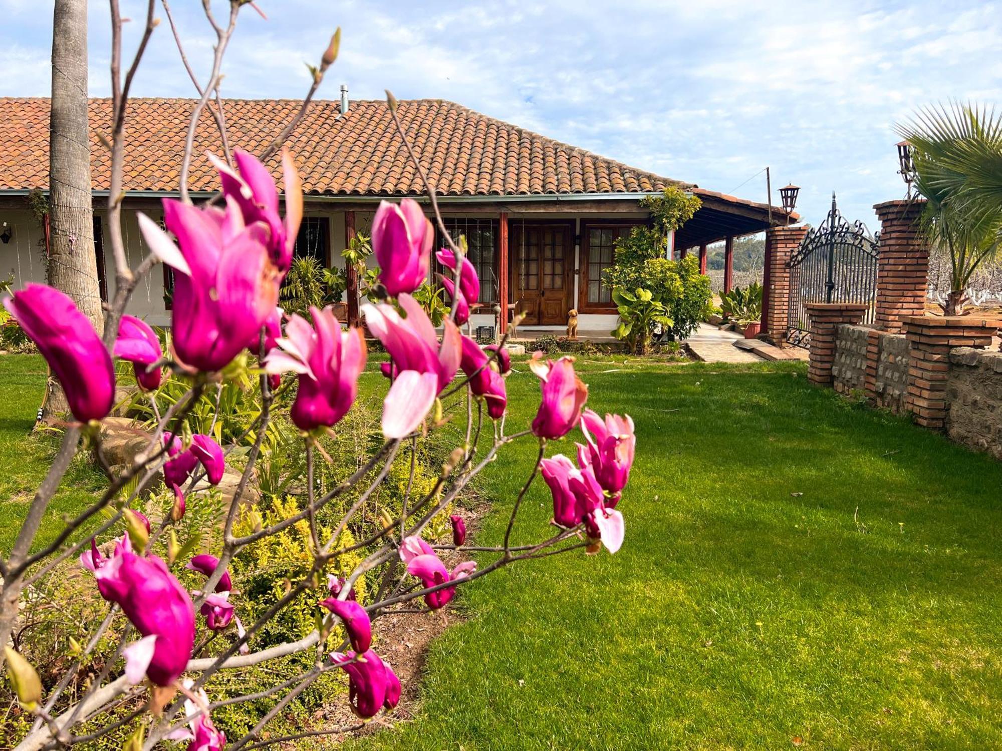 Hotel Boutique Casona Oriente Cauquenes Exterior foto